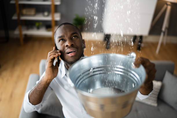 Best Local water damage restoration  in Moultrie, GA