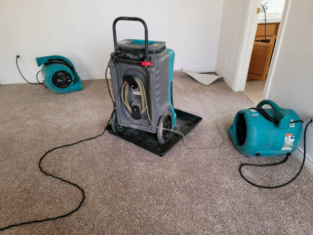 Best Water damage contractors near me  in Moultrie, GA