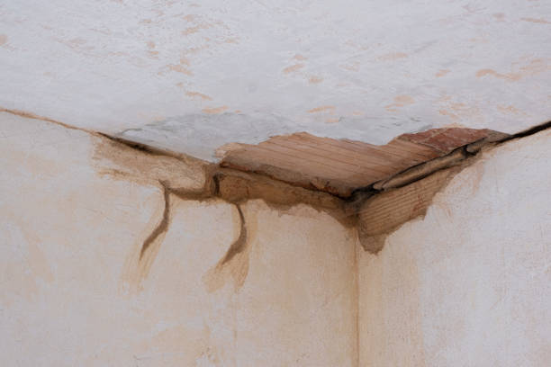 Best Carpet water damage restoration  in Moultrie, GA