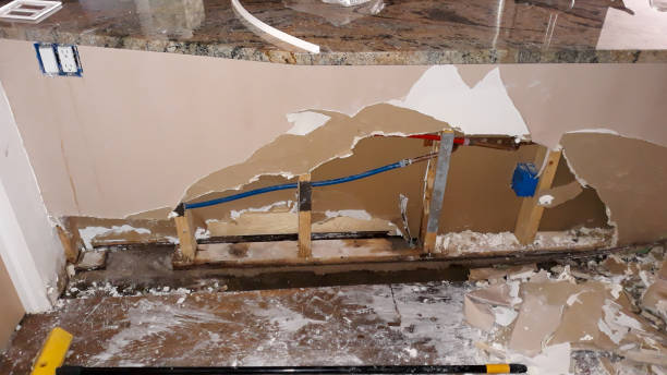 Best Flooded house restoration  in Moultrie, GA