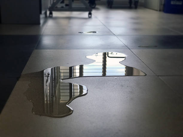 Best Commercial water damage restoration  in Moultrie, GA