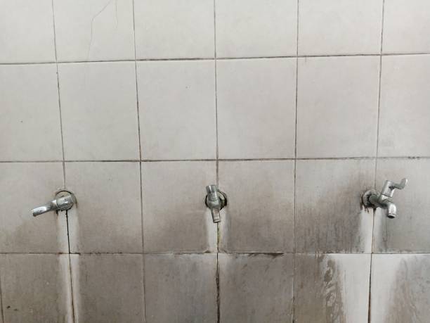 Best Water damage contractors near me  in Moultrie, GA