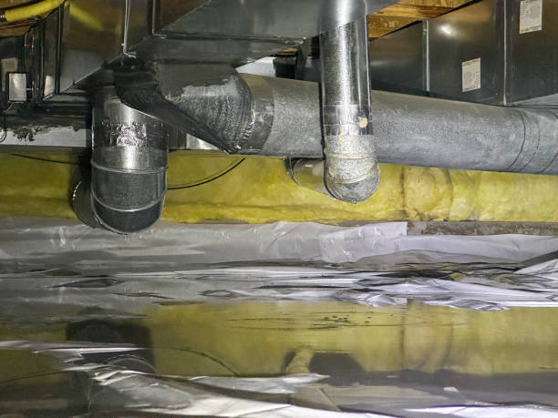 Best Water damage cleanup near me  in Moultrie, GA