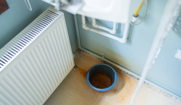 Best Water damage restoration near me  in Moultrie, GA