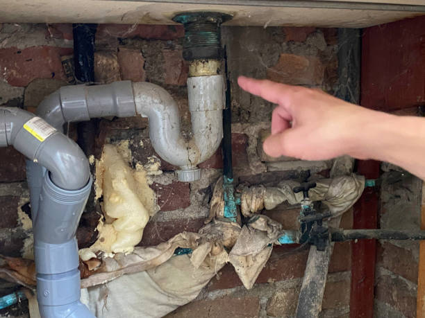 Best Water damage restoration near me  in Moultrie, GA