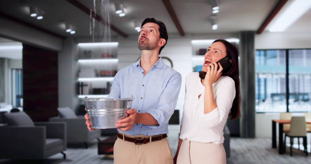 Best Basement water damage restoration  in Moultrie, GA