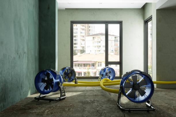 Best Emergency water damage restoration  in Moultrie, GA