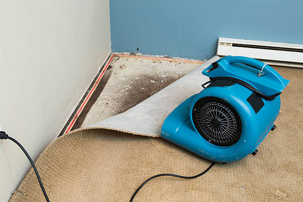 Best 24/7 water damage repair  in Moultrie, GA